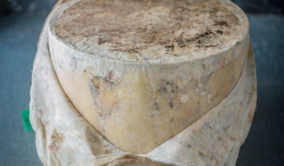 Whirlwind of wins for Devon cheesemakers The Exeter Daily